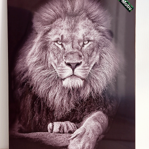 Infrarotheizung Löwe